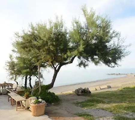 Capo Nettuno 4* אולביה